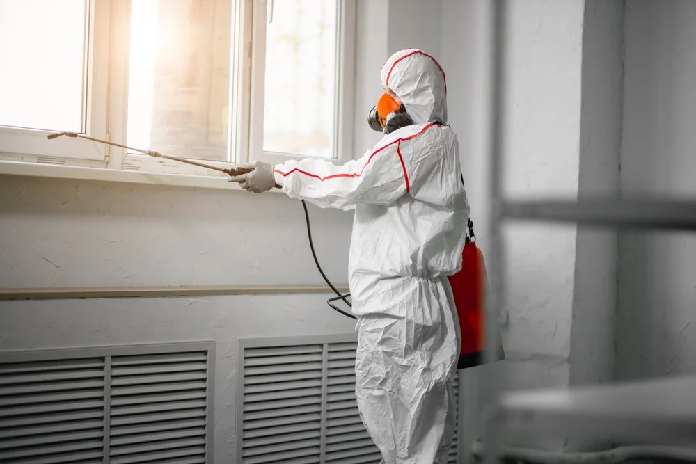Professional mold remediation services in Layton, NJ